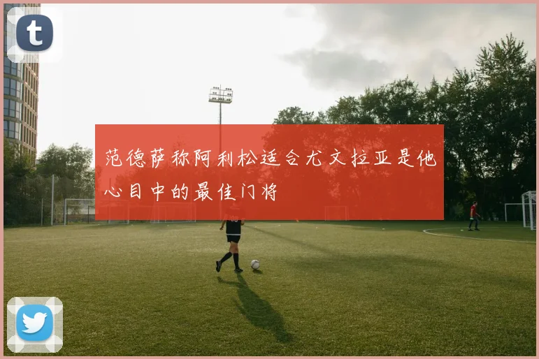 范德萨称阿利松适合尤文拉亚是他心目中的最佳门将